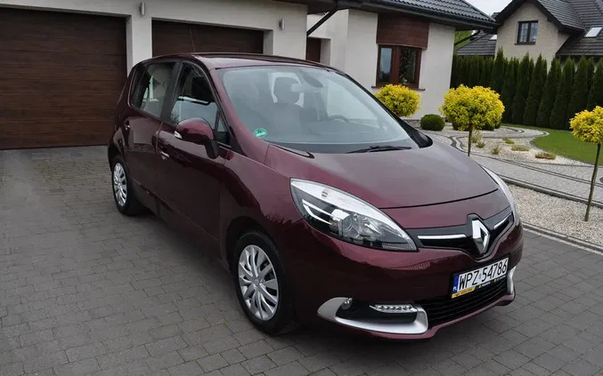 renault scenic Renault Scenic cena 37900 przebieg: 100000, rok produkcji 2014 z Przasnysz